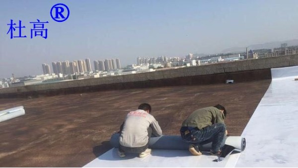 煙臺(tái)魯蒙杜高牌PE自粘高分子防水卷材屋面施工